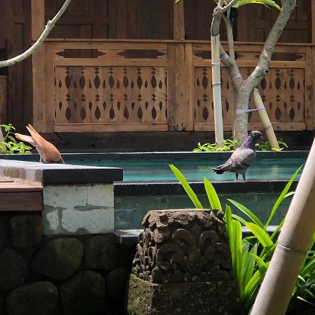 Melati Bali Homestay Canggu  Ngoại thất bức ảnh